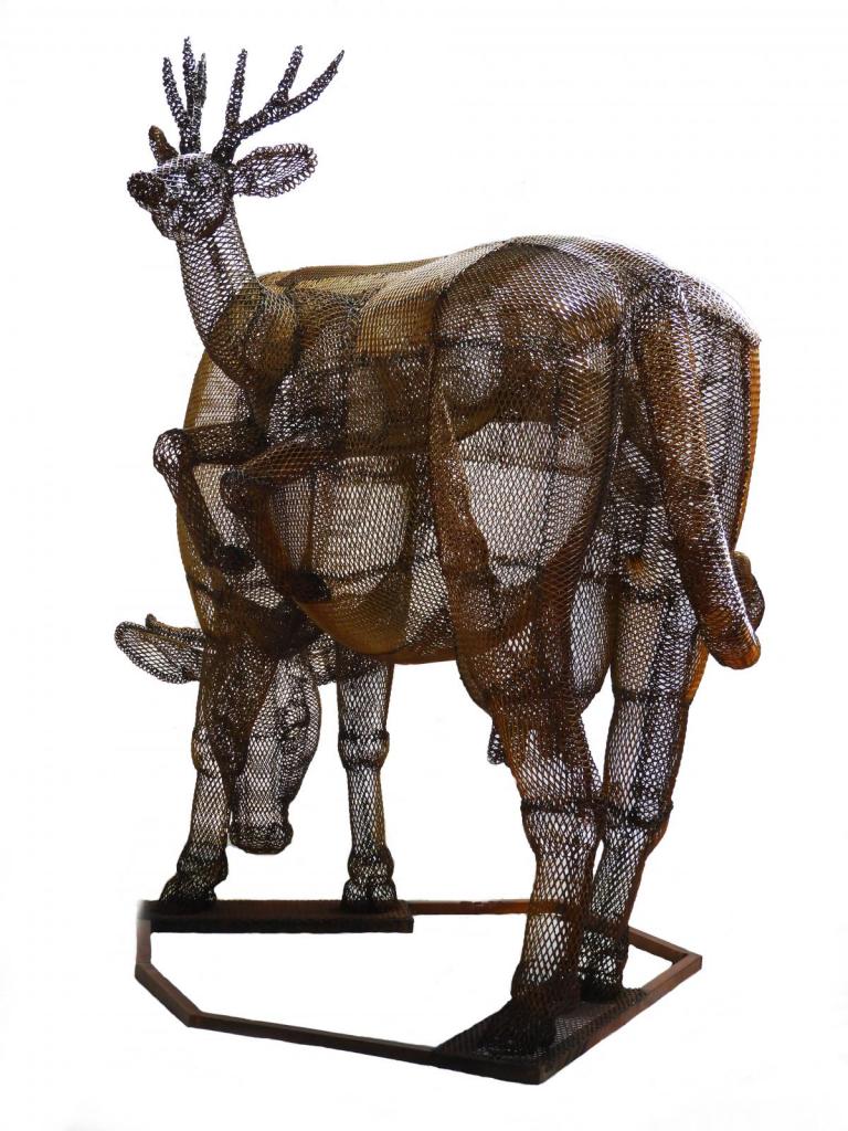 vaca y venado de las pampas