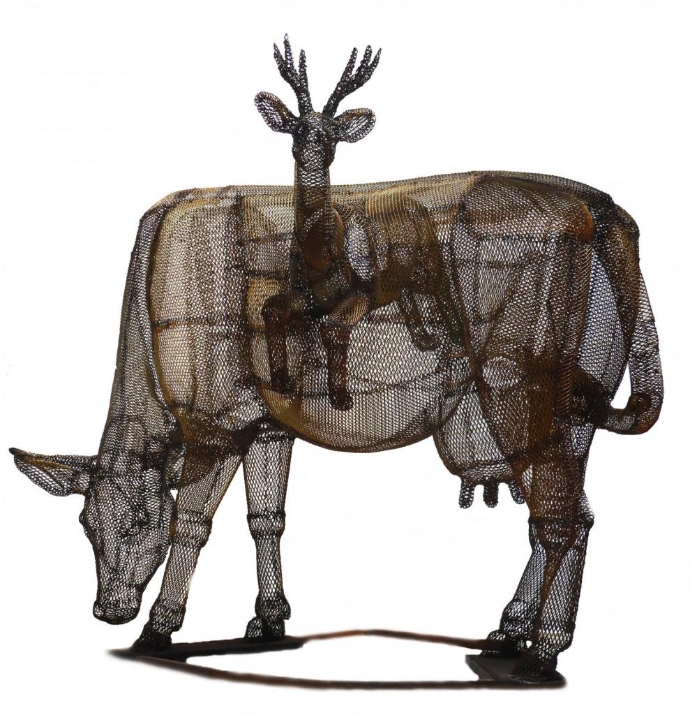 vaca y venado de las pampas