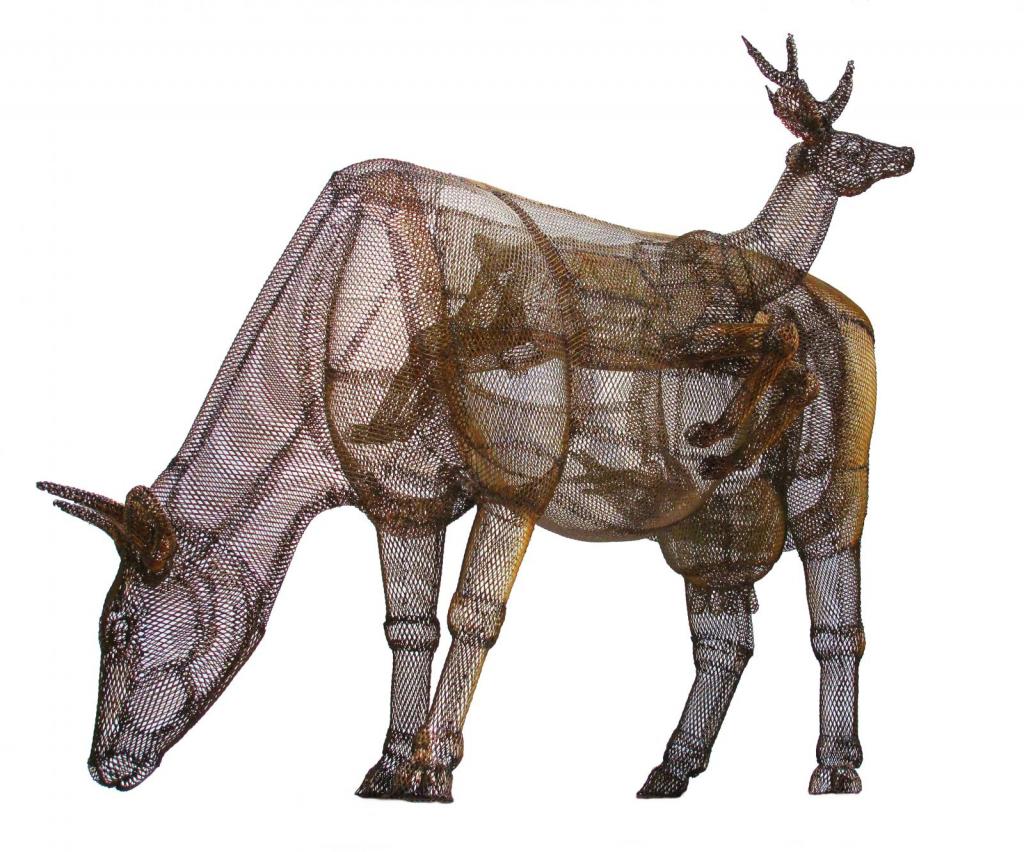 vaca y venado de las pampas