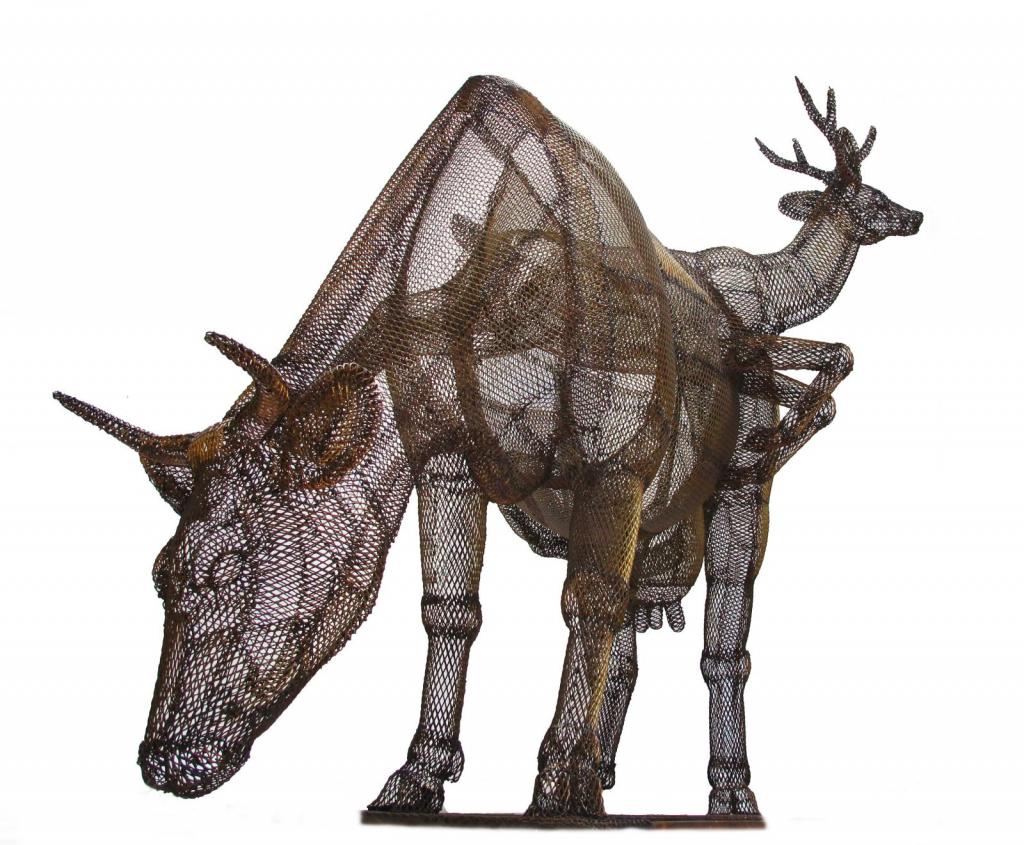 vaca y venado de las pampas