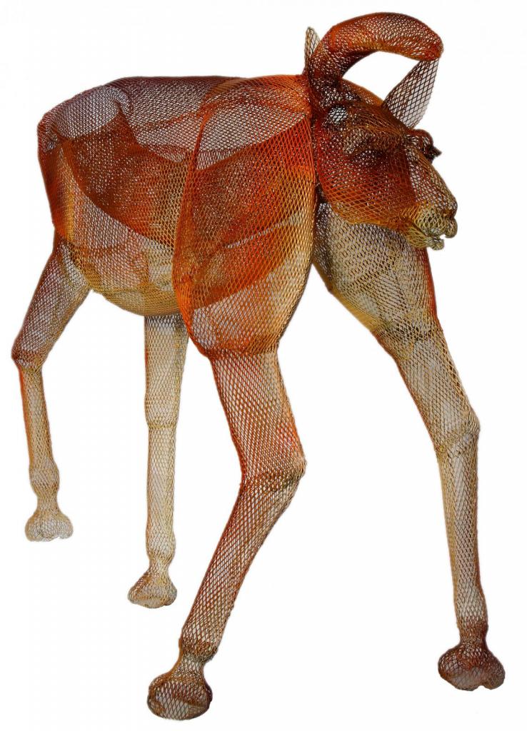guanaca