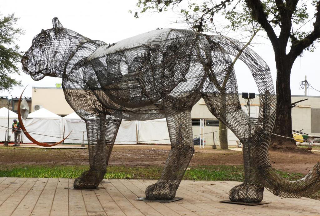 yaguareté y tamandúa