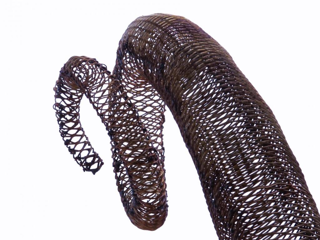 mono aullador y niño