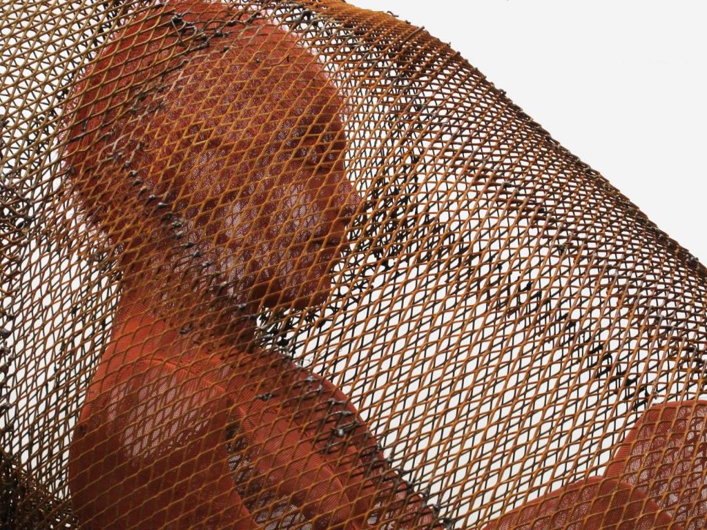 mono aullador y niño