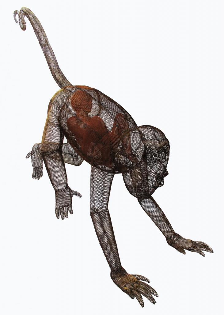 mono aullador y niño