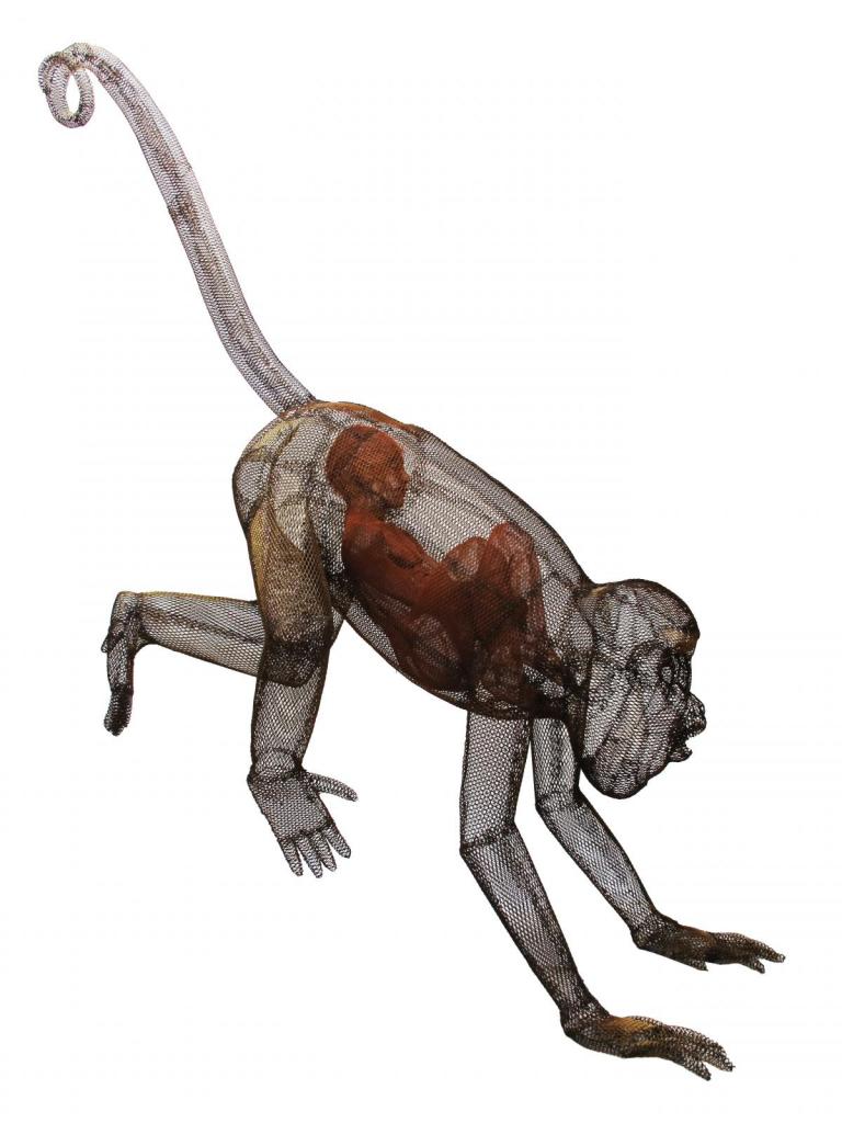 mono aullador y niño