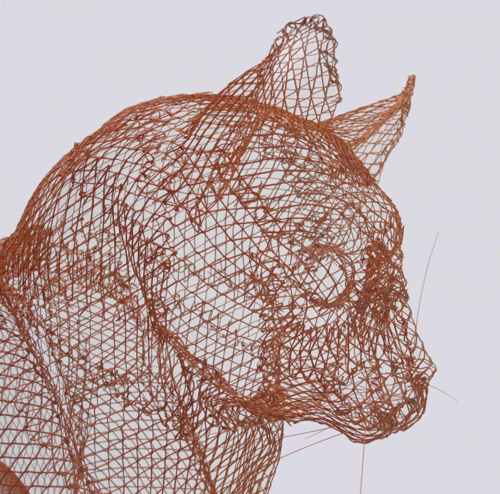 detalle cara del gato