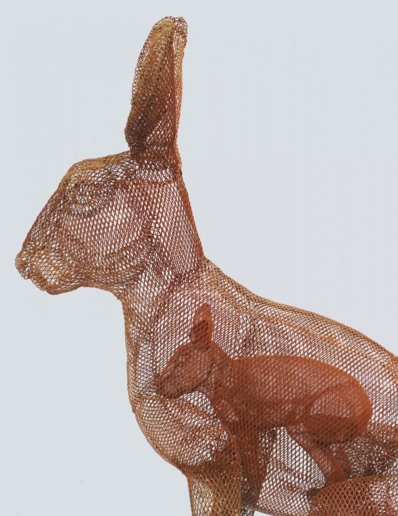 Marginación patagónica