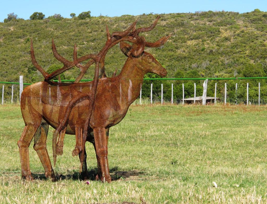 ciervo colorado y huemul